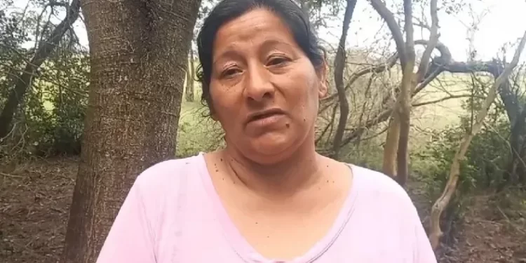 Laudelina se quebró al declarar por la desaparición de Loan: “Se lo llevaron”