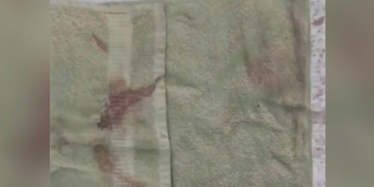 Caso Loan: hallan trapos con manchas de sangre en los autos de Caillava y Pérez