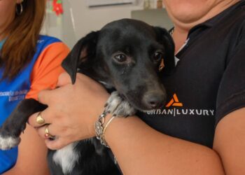 Punto Verde y cuidado de mascotas en dos importantes Parques de Chimbas