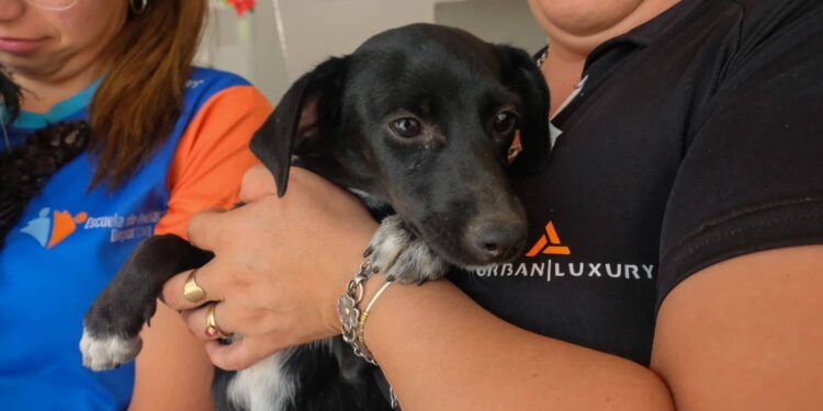 Punto Verde y cuidado de mascotas en dos importantes Parques de Chimbas