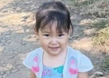 No encuentran a una nena de cinco años y su madre cree que se la llevaron