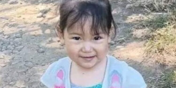 No encuentran a una nena de cinco años y su madre cree que se la llevaron