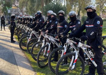 Mendocinos detenidos tras robar un celular a una joven en el interior de un colectivo