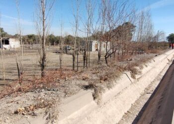Detuvieron al hombre que intentó matar a dos niños con un machete