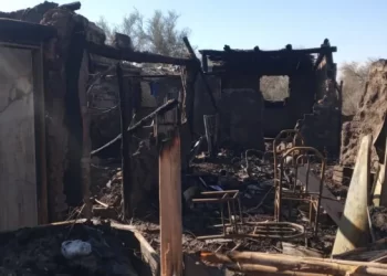 Madre soltera con 5 hijos perdió todo en un devastador incendio