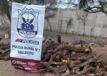 Incautan camión con leña de flora autóctona en peligro de extinción en Caucete