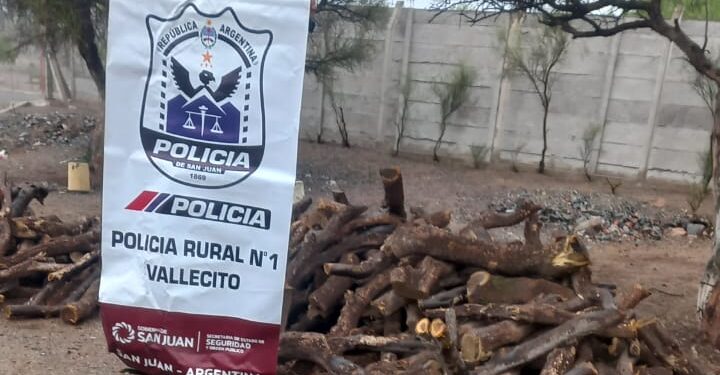 Incautan camión con leña de flora autóctona en peligro de extinción en Caucete