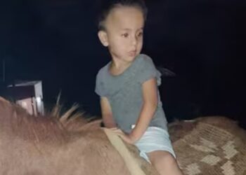 “Loan Murió”: Conmoción por la confesión de un testigo de la desaparición del niño