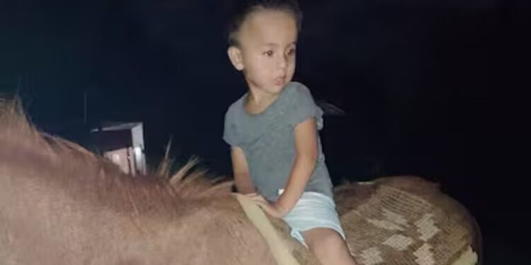 “Loan Murió”: Conmoción por la confesión de un testigo de la desaparición del niño