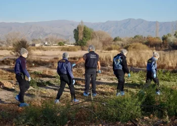 Femicidio: ¿Quién era la mujer hallada muerta e incendiada en un baldío?