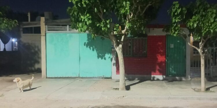 Horror en Rawson: Un perro mordió a un niño en un kiosco y quedó grave