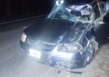 Impactante accidente: Auto chocó con un caballo en la Ruta 40 y dejó varios heridos