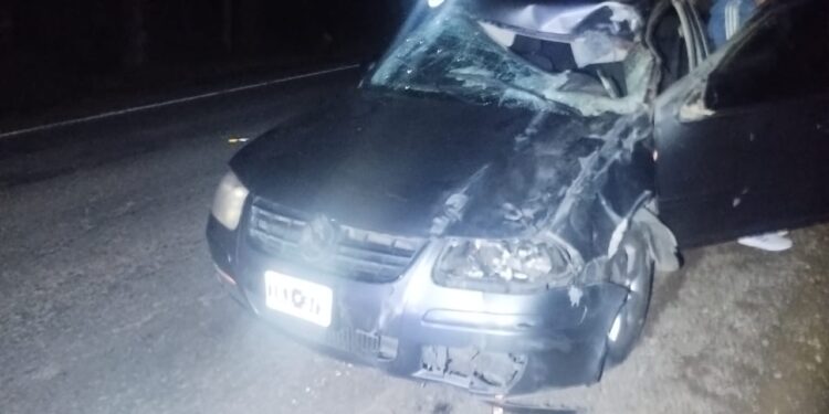 Impactante accidente: Auto chocó con un caballo en la Ruta 40 y dejó varios heridos