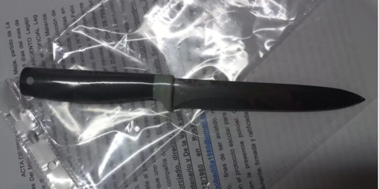 Brutal pelea en una escuela: discutió con un compañero y lo atacó a cuchillazos