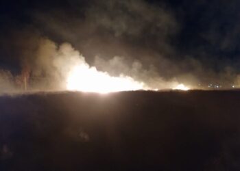 Incendios arrasan en San Juan: múltiples focos y un anciano evacuado