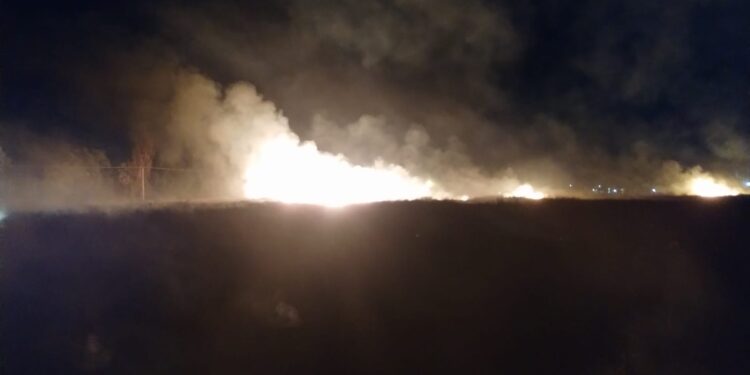 Incendios arrasan en San Juan: múltiples focos y un anciano evacuado