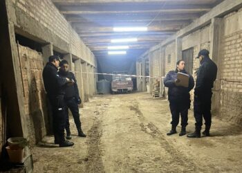 Estaba triste por la muerte de su hermano y lo encontraron sin vida