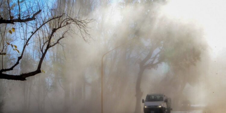 El viento no da tregua: El terrible pronóstico del SMN para San Juan