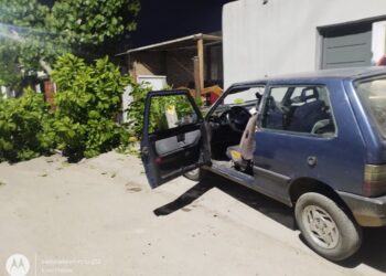 Auto se estrelló contra un árbol en Rawson: el conductor fue trasladado al hospital