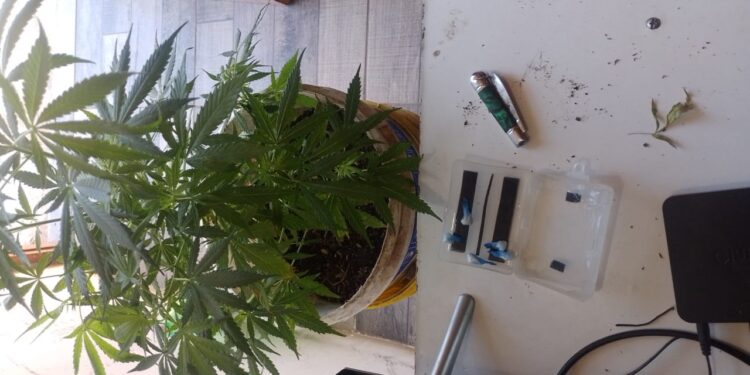 Allanamiento inesperado: Buscaban objetos robados y encontraron drogas