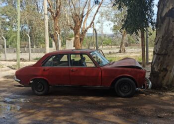 Una mamá se distrajo con su hijo y chocó contra un árbol en Chimbas
