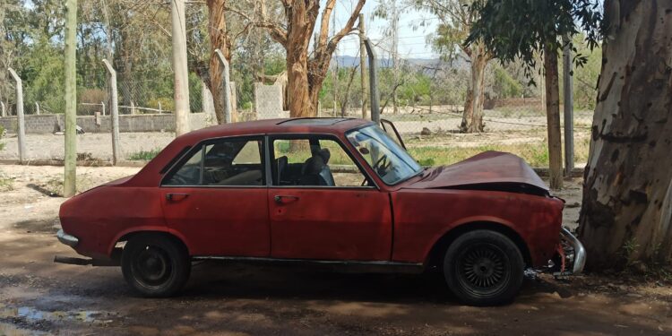 Una mamá se distrajo con su hijo y chocó contra un árbol en Chimbas