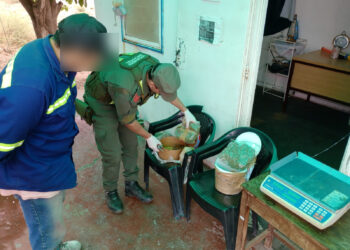 Golpe al narcotráfico: Incautan marihuana en un colectivo que se dirigía a San Juan