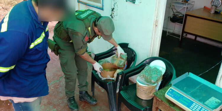 Golpe al narcotráfico: Incautan marihuana en un colectivo que se dirigía a San Juan