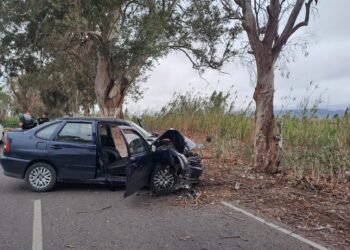Accidente en Pocito: joven se quedó dormida al volante y chocó contra un árbol