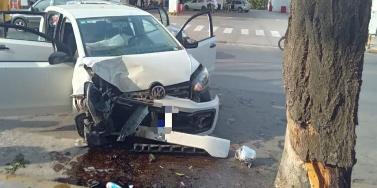 Conducían ebrios, chocaron contra un árbol y uno perdió la vida tras un brutal golpe