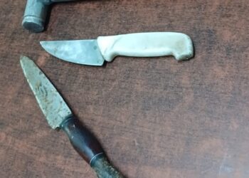 Horror: detienen a dos jóvenes tras faenar un equino en un descampado