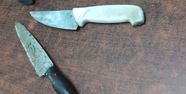 Horror: detienen a dos jóvenes tras faenar un equino en un descampado