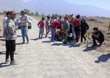 Grave caída en moto en Pocito: Un hombre fue trasladado al hospital de urgencia