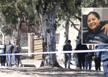 Conmoción: Una mujer policía mató a sus dos hijos y fue detenida cuando escapaba