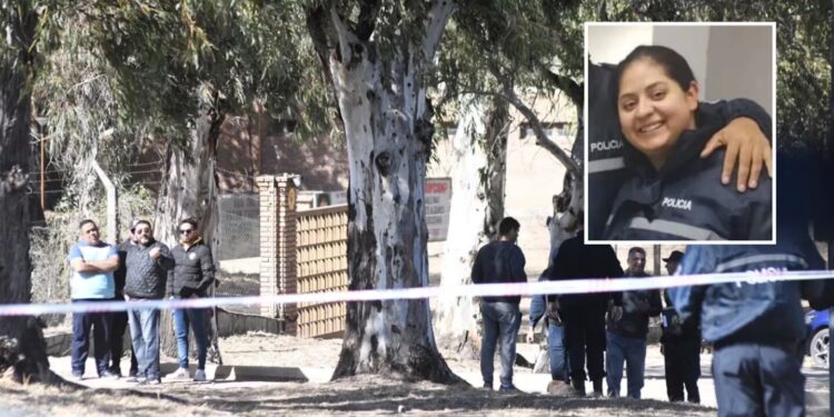 Conmoción: Una mujer policía mató a sus dos hijos y fue detenida cuando escapaba