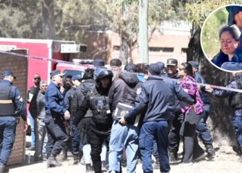 Escalofriantes detalles de las autopsias a los niños asesinados por una mujer policía