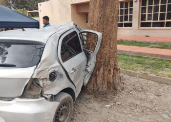 Un fallecido y una joven en grave estado tras brutal choque contra un árbol