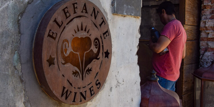 La Ruta del Vino de San Juan tiene una nueva bodega en su recorrido