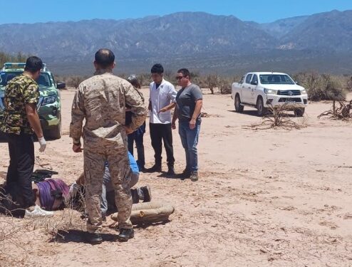 Trágico accidente en Caucete: carretela vuelca y una familia es hospitalizada