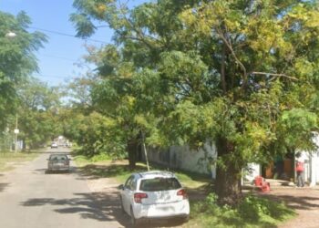Un hombre murió después de recibir 150 picaduras de abejas