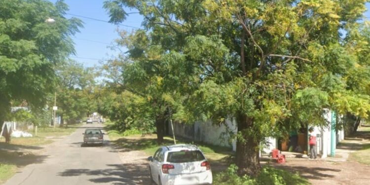 Un hombre murió después de recibir 150 picaduras de abejas