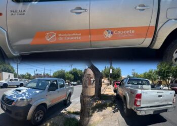 Camioneta de la Municipalidad de Caucete embistió a una mujer en Capital