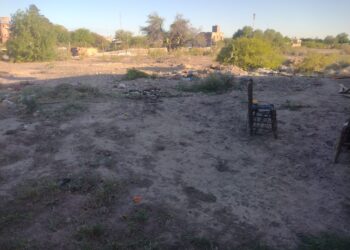 Impactante ataque de 20 perros a una mujer en San Juan: denunciaron a la dueña