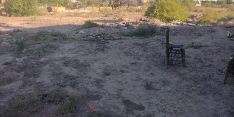 Impactante ataque de 20 perros a una mujer en San Juan: denunciaron a la dueña