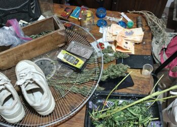 Allanamiento en Rawson: secuestran cannabis, dinero y aves autóctonas protegidas