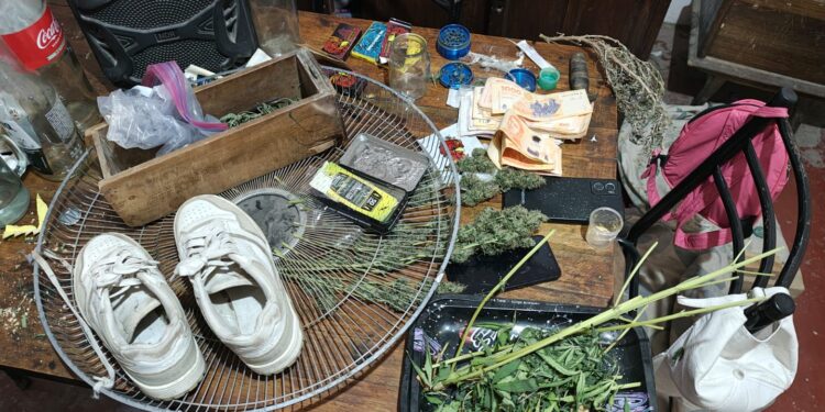 Allanamiento en Rawson: secuestran cannabis, dinero y aves autóctonas protegidas