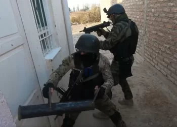 Una mujer de 58 años terminó herida tras un allanamiento del Grupo Geras