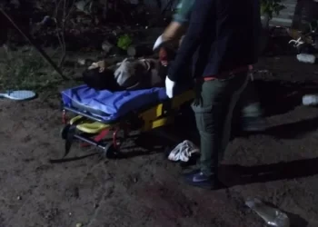 Un joven ladrón ingresó a una casa a robar y los perros lo “destrozaron”