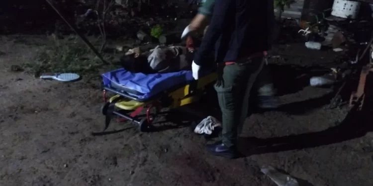 Un joven ladrón ingresó a una casa a robar y los perros lo “destrozaron”