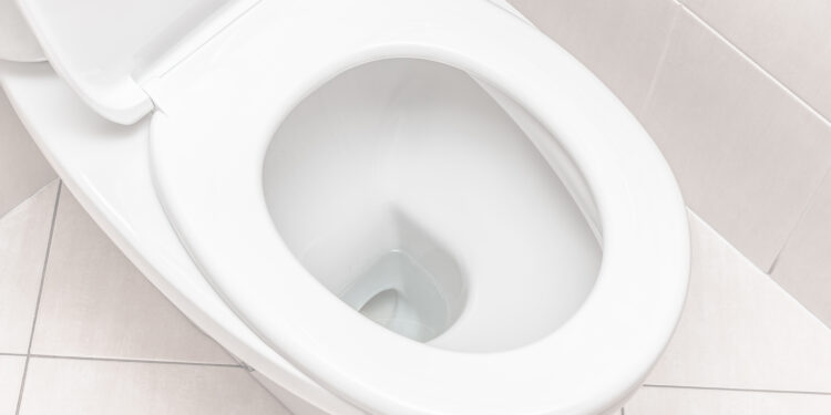 ¿Te imaginás tu casa sin inodoro?: La realidad de más de 6 millones de argentinos